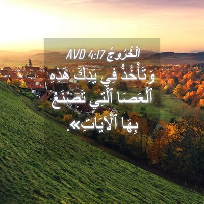 Picture 04 - اَلْخُرُوجُ 4:17 AVD - وَتَأْخُذُ فِي يَدِكَ - Bible Verse Picture