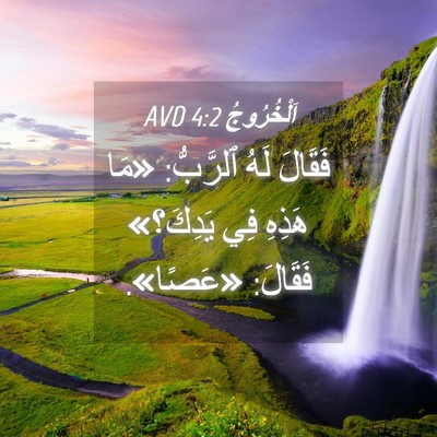 Picture 04 - اَلْخُرُوجُ 4:2 AVD - فَقَالَ لَهُ ٱلرَّبُّ: - Bible Verse Picture
