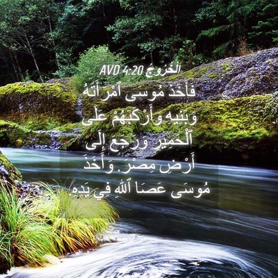 Picture 04 - اَلْخُرُوجُ 4:20 AVD - فَأَخَذَ مُوسَى - Bible Verse Picture
