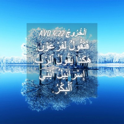 Picture 04 - اَلْخُرُوجُ 4:22 AVD - فَتَقُولُ لِفِرْعَوْنَ: - Bible Verse Picture