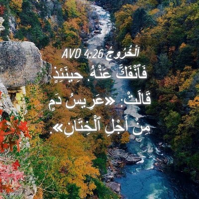 Picture 04 - اَلْخُرُوجُ 4:26 AVD - فَٱنْفَكَّ عَنْهُ. - Bible Verse Picture