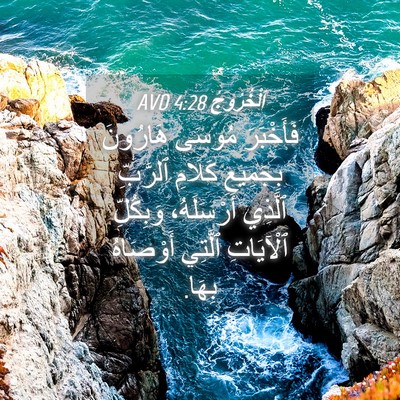 Picture 04 - اَلْخُرُوجُ 4:28 AVD - فَأَخْبَرَ مُوسَى - Bible Verse Picture
