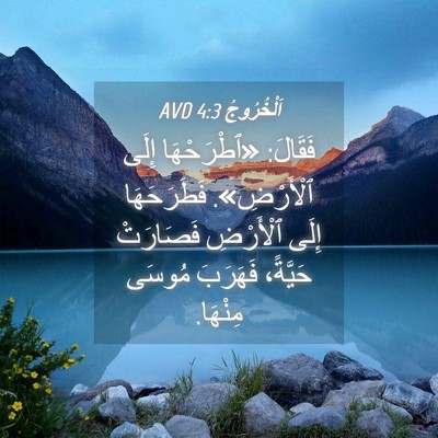 Picture 04 - اَلْخُرُوجُ 4:3 AVD - فَقَالَ: «ٱطْرَحْهَا إِلَى - Bible Verse Picture