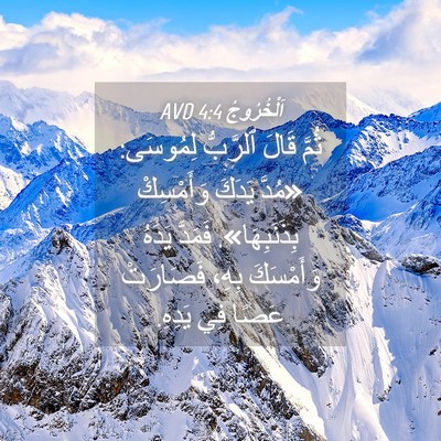 Picture 04 - اَلْخُرُوجُ 4:4 AVD - ثُمَّ قَالَ ٱلرَّبُّ - Bible Verse Picture