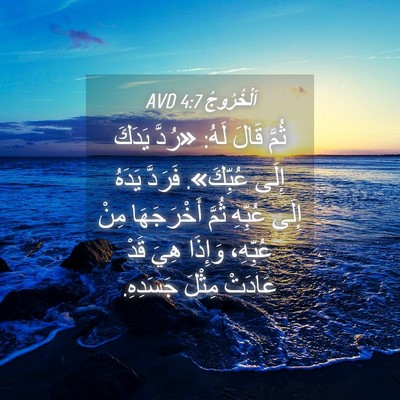 Picture 04 - اَلْخُرُوجُ 4:7 AVD - ثُمَّ قَالَ لَهُ: «رُدَّ - Bible Verse Picture