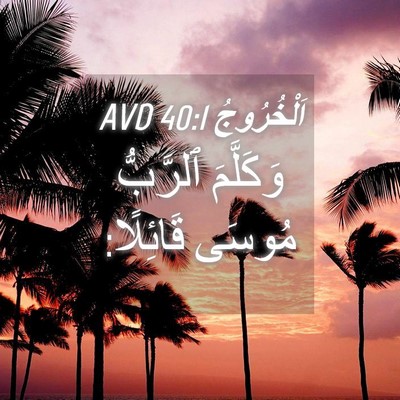 Picture 04 - اَلْخُرُوجُ 40:1 AVD - وَكَلَّمَ ٱلرَّبُّ مُوسَى - Bible Verse Picture