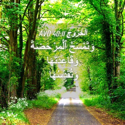 Picture 04 - اَلْخُرُوجُ 40:11 AVD - وَتَمْسَحُ ٱلْمِرْحَضَةَ - Bible Verse Picture
