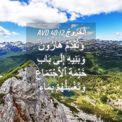 Picture 04 - اَلْخُرُوجُ 40:12 AVD - وَتُقَدِّمُ هَارُونَ - Bible Verse Picture