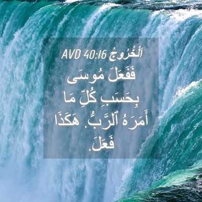 Picture 04 - اَلْخُرُوجُ 40:16 AVD - فَفَعَلَ مُوسَى بِحَسَبِ - Bible Verse Picture
