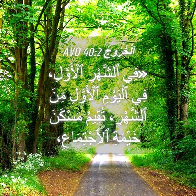 Picture 04 - اَلْخُرُوجُ 40:2 AVD - «فِي ٱلشَّهْرِ - Bible Verse Picture