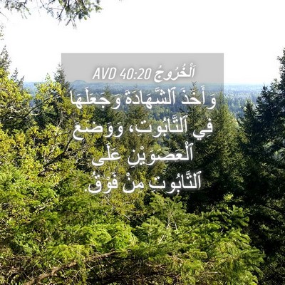 Picture 04 - اَلْخُرُوجُ 40:20 AVD - وَأَخَذَ ٱلشَّهَادَةَ - Bible Verse Picture