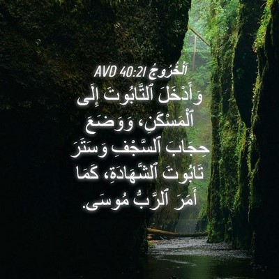 Picture 04 - اَلْخُرُوجُ 40:21 AVD - وَأَدْخَلَ ٱلتَّابُوتَ - Bible Verse Picture