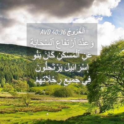Picture 04 - اَلْخُرُوجُ 40:36 AVD - وَعِنْدَ ٱرْتِفَاعِ - Bible Verse Picture