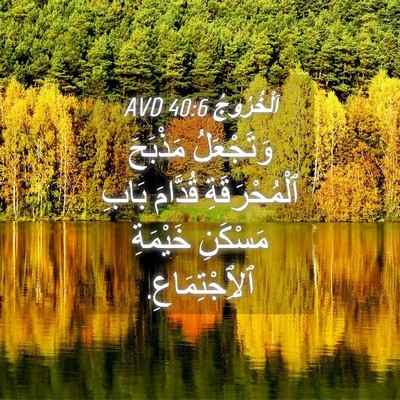 Picture 04 - اَلْخُرُوجُ 40:6 AVD - وَتَجْعَلُ مَذْبَحَ - Bible Verse Picture
