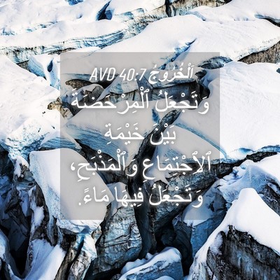 Picture 04 - اَلْخُرُوجُ 40:7 AVD - وَتَجْعَلُ ٱلْمِرْحَضَةَ - Bible Verse Picture