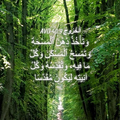 Picture 04 - اَلْخُرُوجُ 40:9 AVD - وَتَأْخُذُ دُهْنَ - Bible Verse Picture