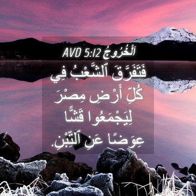 Picture 04 - اَلْخُرُوجُ 5:12 AVD - فَتَفَرَّقَ ٱلشَّعْبُ فِي - Bible Verse Picture