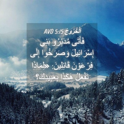 Picture 04 - اَلْخُرُوجُ 5:15 AVD - فَأَتَى مُدَبِّرُو بَنِي - Bible Verse Picture