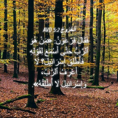 Picture 04 - اَلْخُرُوجُ 5:2 AVD - فَقَالَ فِرْعَوْنُ: «مَنْ - Bible Verse Picture