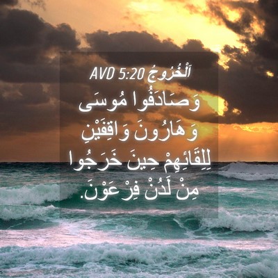 Picture 04 - اَلْخُرُوجُ 5:20 AVD - وَصَادَفُوا مُوسَى - Bible Verse Picture
