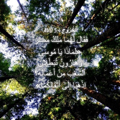 Picture 04 - اَلْخُرُوجُ 5:4 AVD - فَقَالَ لَهُمَا مَلِكُ - Bible Verse Picture