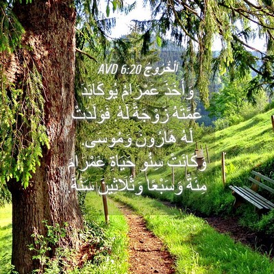 Picture 04 - اَلْخُرُوجُ 6:20 AVD - وَأَخَذَ عَمْرَامُ - Bible Verse Picture