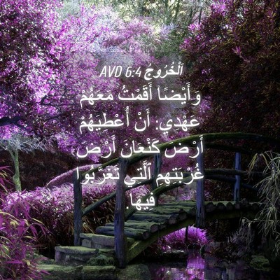 Picture 04 - اَلْخُرُوجُ 6:4 AVD - وَأَيْضًا أَقَمْتُ - Bible Verse Picture
