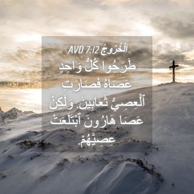 Picture 04 - اَلْخُرُوجُ 7:12 AVD - طَرَحُوا كُلُّ وَاحِدٍ - Bible Verse Picture