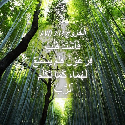Picture 04 - اَلْخُرُوجُ 7:13 AVD - فَٱشْتَدَّ قَلْبُ - Bible Verse Picture