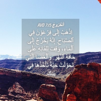 Picture 04 - اَلْخُرُوجُ 7:15 AVD - اِذْهَبْ إِلَى فِرْعَوْنَ - Bible Verse Picture