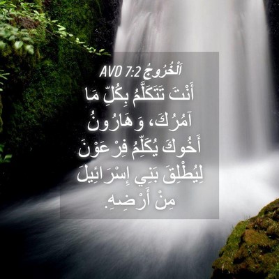 Picture 04 - اَلْخُرُوجُ 7:2 AVD - أَنْتَ تَتَكَلَّمُ - Bible Verse Picture