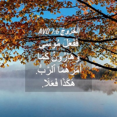 Picture 04 - اَلْخُرُوجُ 7:6 AVD - فَفَعَلَ مُوسَى - Bible Verse Picture