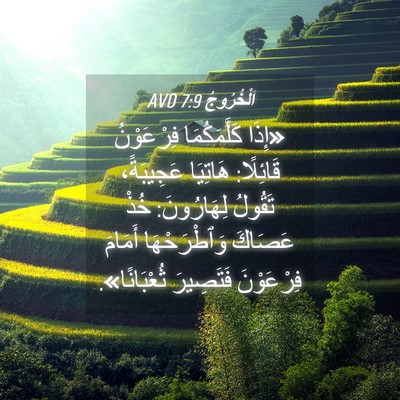 Picture 04 - اَلْخُرُوجُ 7:9 AVD - «إِذَا كَلَّمَكُمَا - Bible Verse Picture