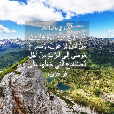 Picture 04 - اَلْخُرُوجُ 8:12 AVD - ثُمَّ خَرَجَ مُوسَى - Bible Verse Picture