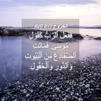Picture 04 - اَلْخُرُوجُ 8:13 AVD - فَفَعَلَ ٱلرَّبُّ - Bible Verse Picture
