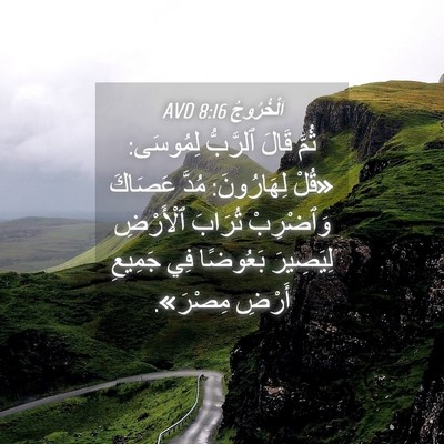 Picture 04 - اَلْخُرُوجُ 8:16 AVD - ثُمَّ قَالَ ٱلرَّبُّ - Bible Verse Picture
