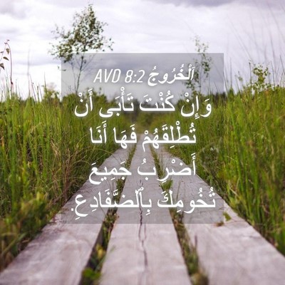 Picture 04 - اَلْخُرُوجُ 8:2 AVD - وَإِنْ كُنْتَ تَأْبَى أَنْ - Bible Verse Picture
