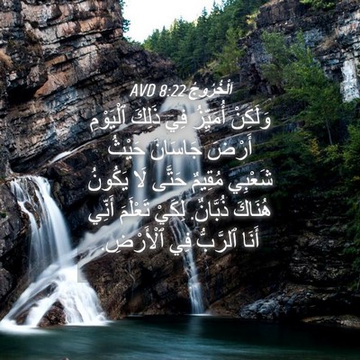 Picture 04 - اَلْخُرُوجُ 8:22 AVD - وَلَكِنْ أُمَيِّزُ فِي - Bible Verse Picture