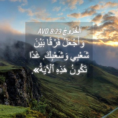 Picture 04 - اَلْخُرُوجُ 8:23 AVD - وَأَجْعَلُ فَرْقًا بَيْنَ - Bible Verse Picture