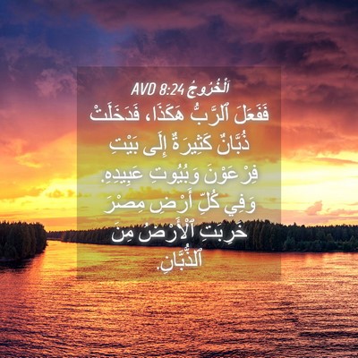 Picture 04 - اَلْخُرُوجُ 8:24 AVD - فَفَعَلَ ٱلرَّبُّ - Bible Verse Picture