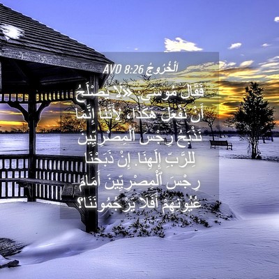 Picture 04 - اَلْخُرُوجُ 8:26 AVD - فَقَالَ مُوسَى: «لَا - Bible Verse Picture