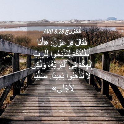 Picture 04 - اَلْخُرُوجُ 8:28 AVD - فَقَالَ فِرْعَوْنُ: «أَنَا - Bible Verse Picture