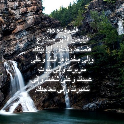 Picture 04 - اَلْخُرُوجُ 8:3 AVD - فَيَفِيضُ ٱلنَّهْرُ - Bible Verse Picture