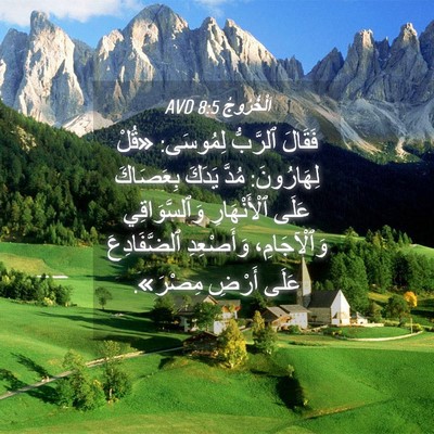 Picture 04 - اَلْخُرُوجُ 8:5 AVD - فَقَالَ ٱلرَّبُّ لِمُوسَى: - Bible Verse Picture