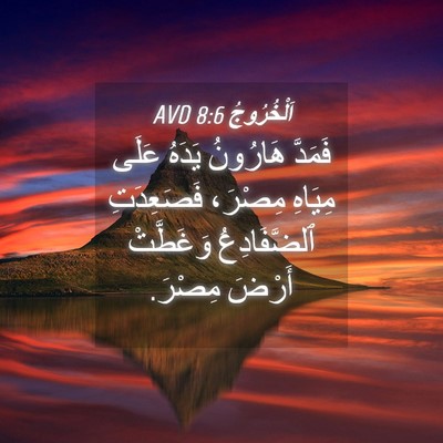 Picture 04 - اَلْخُرُوجُ 8:6 AVD - فَمَدَّ هَارُونُ يَدَهُ - Bible Verse Picture