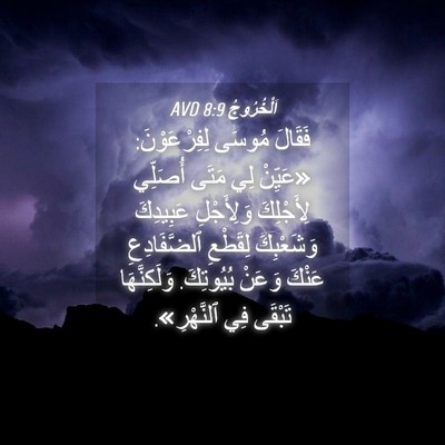 Picture 04 - اَلْخُرُوجُ 8:9 AVD - فَقَالَ مُوسَى - Bible Verse Picture