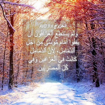 Picture 04 - اَلْخُرُوجُ 9:11 AVD - وَلَمْ يَسْتَطِعِ - Bible Verse Picture