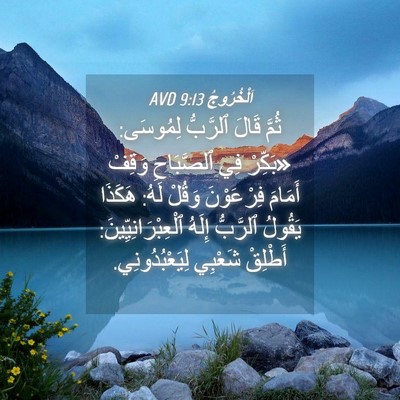 Picture 04 - اَلْخُرُوجُ 9:13 AVD - ثُمَّ قَالَ ٱلرَّبُّ - Bible Verse Picture