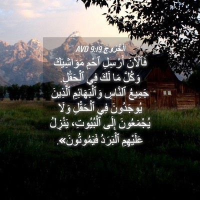 Picture 04 - اَلْخُرُوجُ 9:19 AVD - فَٱلْآنَ أَرْسِلِ ٱحْمِ - Bible Verse Picture
