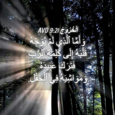 Picture 04 - اَلْخُرُوجُ 9:21 AVD - وَأَمَّا ٱلَّذِي لَمْ - Bible Verse Picture